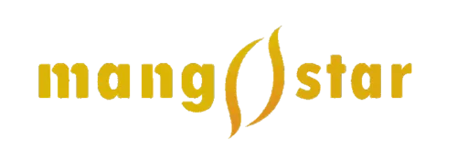 机遇与挑战并存做海淘领域的先驱者 北京星芒商贸有限公司